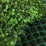 Artificial Hedge Boxwood Realistic & Thick Mats Coverage 31sqft per box.