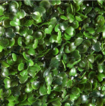 Artificial Hedge Boxwood Realistic & Thick Mats Coverage 31sqft per box.